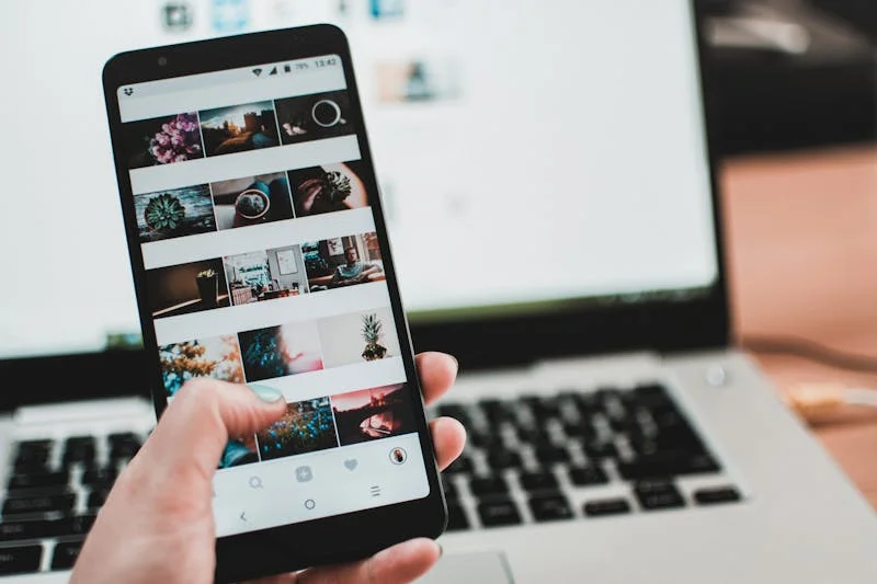 Licence Commerce et Marketing
