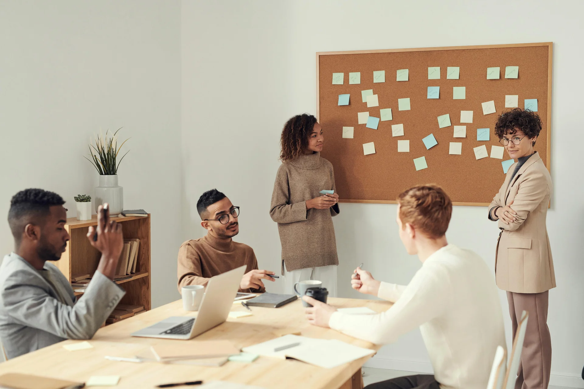 Bachelor Commerce et Gestion des Affaires
