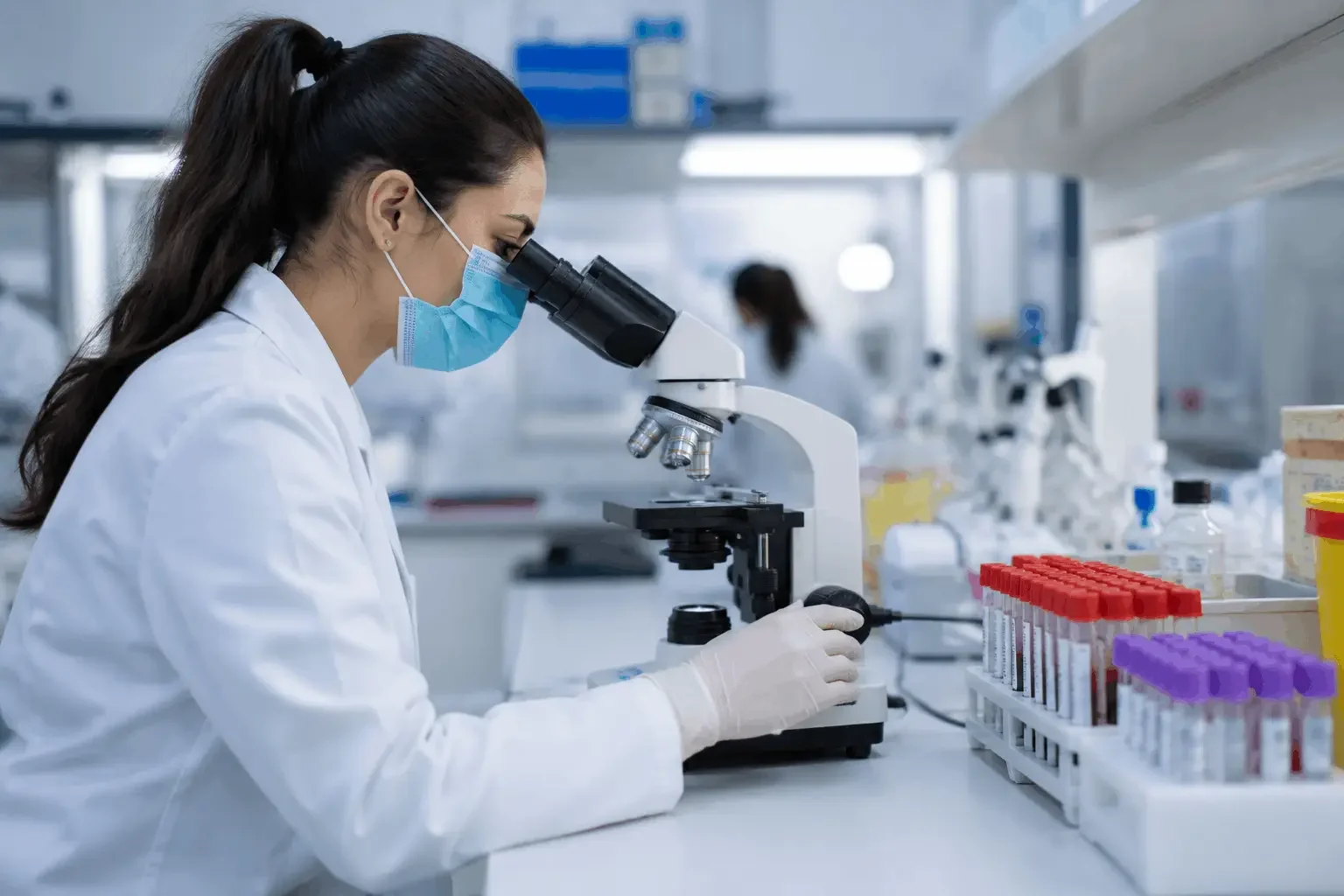 Licence professionnelle en Techniques de Laboratoires de Biologie Médicale (LTech-Labo)