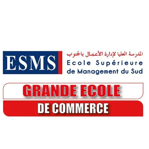 ESMS-Ecole Supérieure de Management du Sud Privée logo